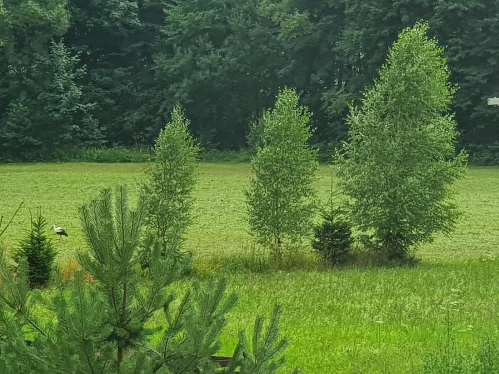 Prostřední Bečva Wellness-Beskydy 빌라 외부 사진